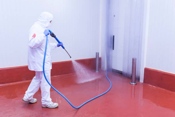 Playground Equipment Cleaning in Salton City, CA